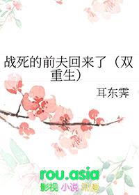 战死的前夫回来了[双重生]封面