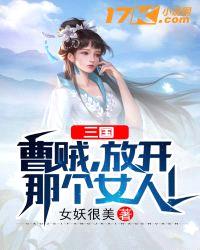 三国：曹贼，放开那个女人！封面